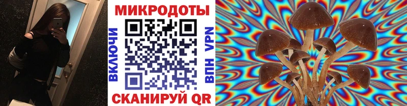 Псилоцибиновые грибы ЛСД  omg tor  Железногорск 